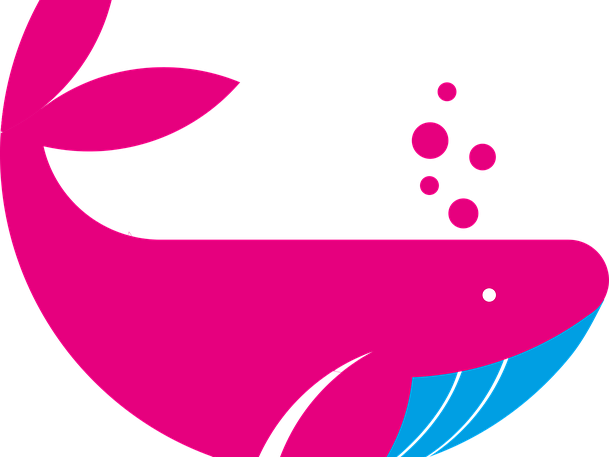 Innovators Network 3 Health-Data-Scientist -fish logo